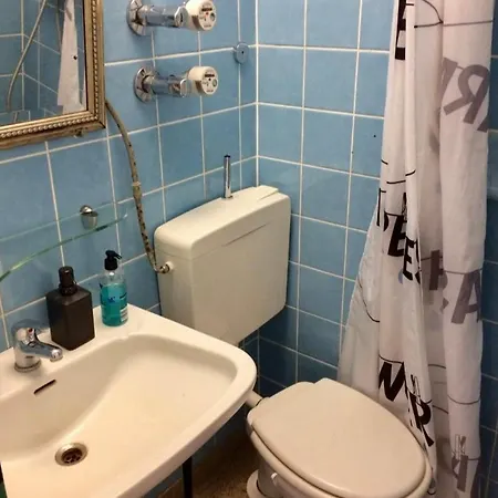Nice Apartment , Next To University , Wifi&Free Parking Ratisbona